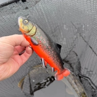 Savage Gear 3D Line Thru Pulsetail Trout 16cm/51g
